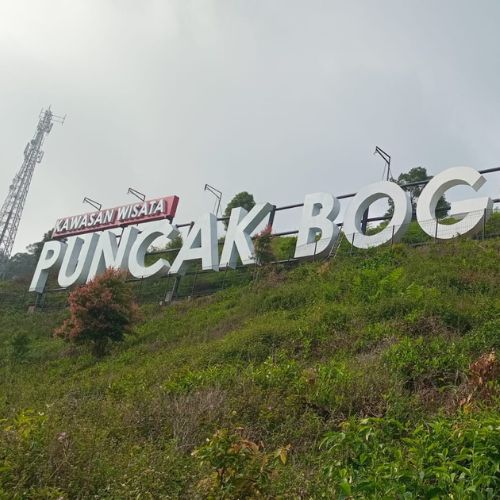 Project Cileungsi Berkarya Integrasi 5